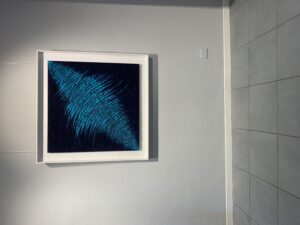 IMG_5304