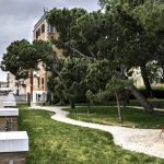 Global Warning: First Tropical Mangrove in Venice with Andrea Ingenito contemporary art. Venice, Italy, 2018