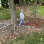 Unearthing the Roots, Part of Artina, 2021. Presented by the Washington Sculptors Group and Sandy Spring Museum, MD, USA