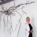 Cannabis sativa (installation view with artist), 2014